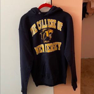 TCNJ navy champion hoodie
